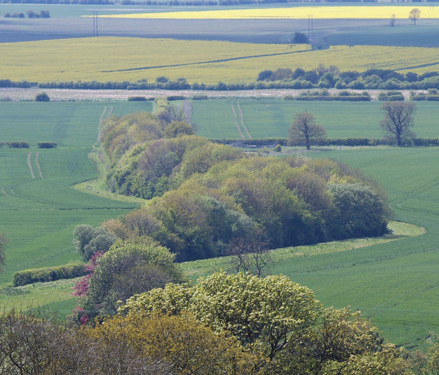 Copse Near Horkstow © David Wright Geograph Britain And Ireland 