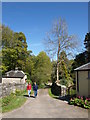 Path to Colonsay House gardens