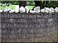 Unusual wall, Ciliauwen