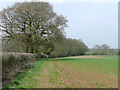 SO8187 : Staffordshire crop field near Enville by Roger  Kidd