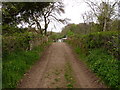 Chenson Bridge on the river Taw