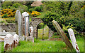 J5064 : Graveyard, Tullynakill old church near Comber by Albert Bridge