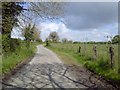 N9355 : Country Road, Co Meath by C O'Flanagan