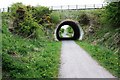 Tunnel near Station Town