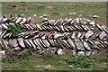 SM7305 : Herringbone dry stone wall by Bob Jones