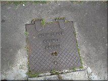N9948 : Manhole cover, Co Meath by C O'Flanagan