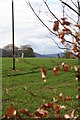 Castle Fraser Stones