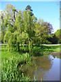 Village Pond, Ewhurst