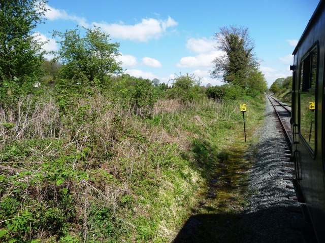 Hedgerow alongside the railway line.