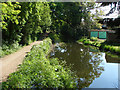 Basingstoke Canal