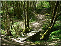 Footbridge by Firtree Wood