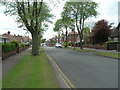 Eighth Avenue, Bridlington