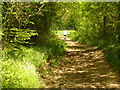 Bridleway to Book Hurst