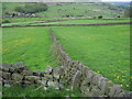 Footpath towards Low Bradfield