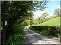 The lane up the hill