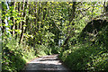 Noss Mayo: lane leading to Netton Farm 2