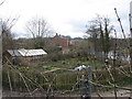 Garden Allotments