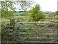 NY4477 : Public footpath to Watleyhurst by Rose and Trev Clough