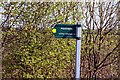 Footpath to Little Haseley