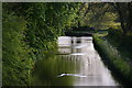 Peaceful evening on the Staffordshire & Worcestershire Canal