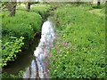 Stream near West Orchard