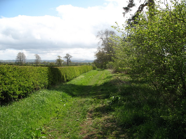 Footpath along Hedge