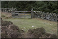 Bridleway entrance into Wintergill Plantation