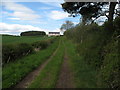 House near Dalcove Mains