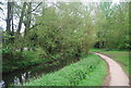 Riverside path, River Arun, Horsham