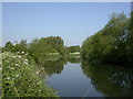 Chelmsford, River Chelmer