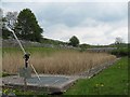 Reed filter bed, Biggin sewage works