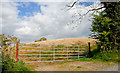 Public path, Killyleagh (2)