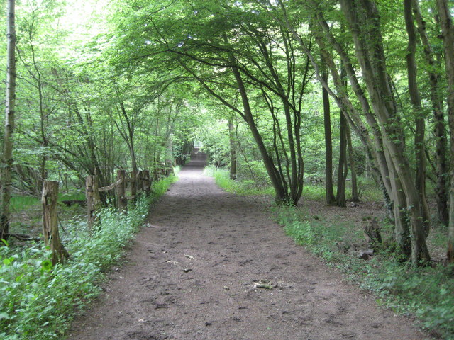 Ruislip: Copse Wood bridleway © Nigel Cox cc-by-sa/2.0 :: Geograph ...