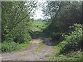 Track leaves the road near Edington