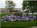 Floral display in Maldon Park