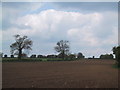 Ploughed field by Ston Easton