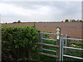 Path to Brook House Farm