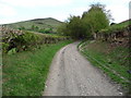 Farm track between Ty-gwyn and The Lawnt near Llangadwaladr