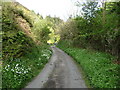 Secluded lane in Moelfre hamlet