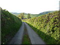 Deep lane with high hedges