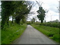 O0959 : Country Road, Co Dublin by C O'Flanagan