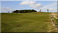 Farmland at Crawcraigs