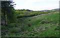 Small clough between Pudding Lane and Mottram Road