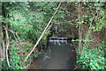 A small weir on Horn Brook