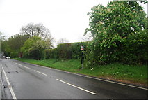 TQ1829 : Bus stop, opposite The Hornbrook Inn, A281 by N Chadwick