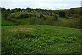 Field of rough grazing near Littledean