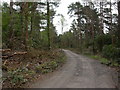 Wattons Ford, byway