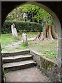 Looking out from Tuxlith Chapel into Milland Churchyard