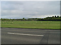 Playing fields in Drumpellier Country Park