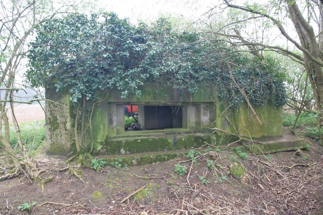 Pillbox in the woods